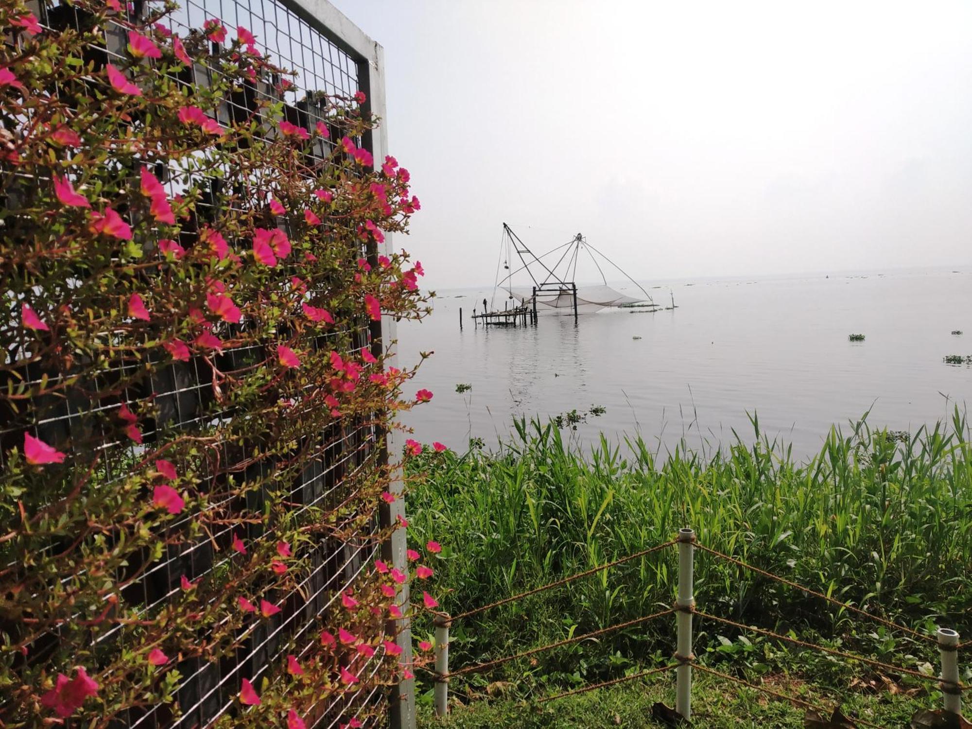 Deshadan Backwater Resort - The best sunrise view Alappuzha Exterior foto